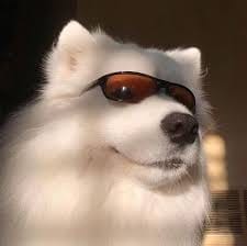 Andika Hazrumy avatar