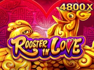Rooster In Love game icon
